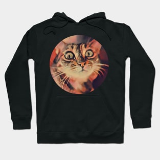 Amusing floppy cat Hoodie